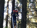Maibaum_2016 (4).jpg